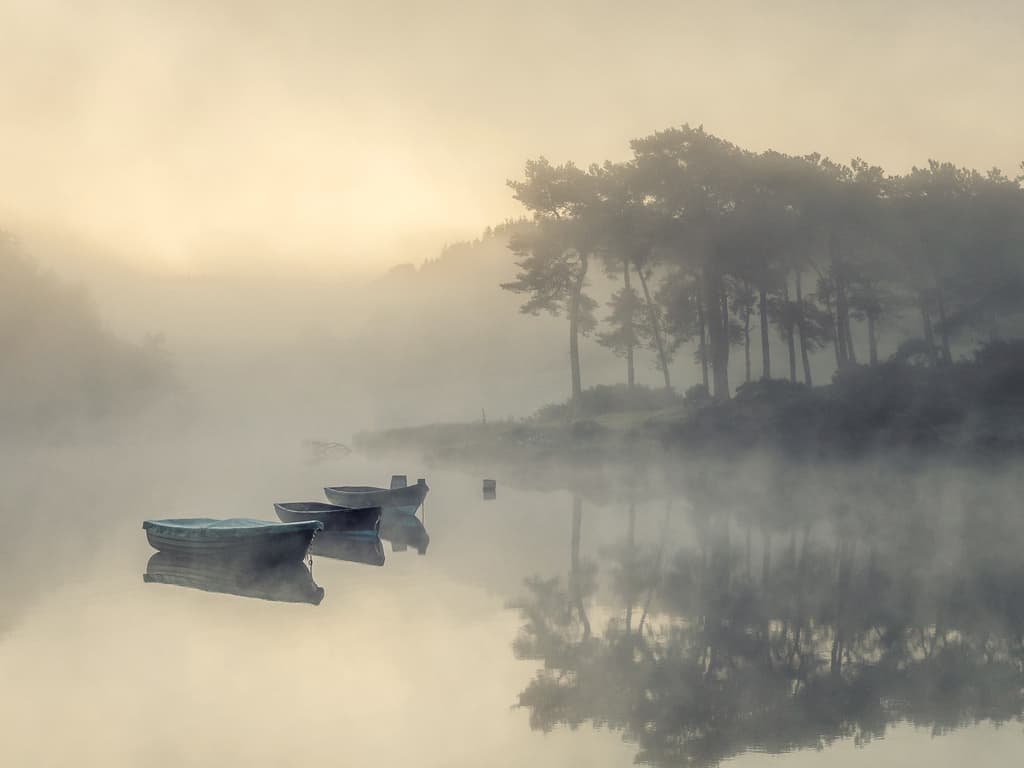 Halo-强大易用的开源建站工具
