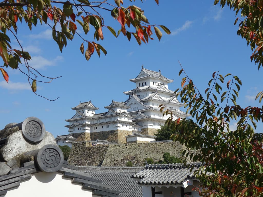 一个披着图书网站外壳的视频网站