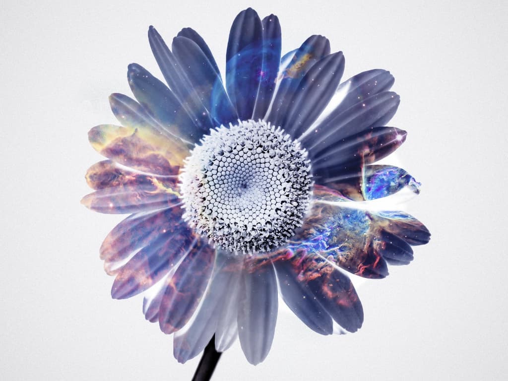 清浊-简洁实用的清理工具[Android]