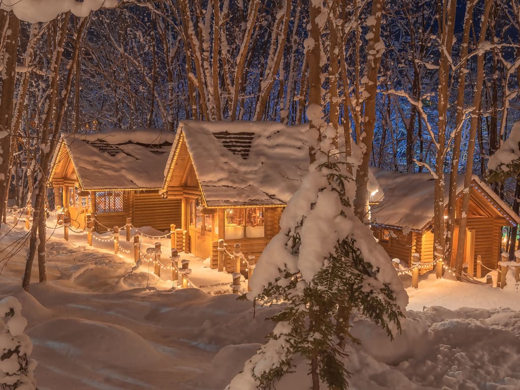 使用docker安装halo博客系统