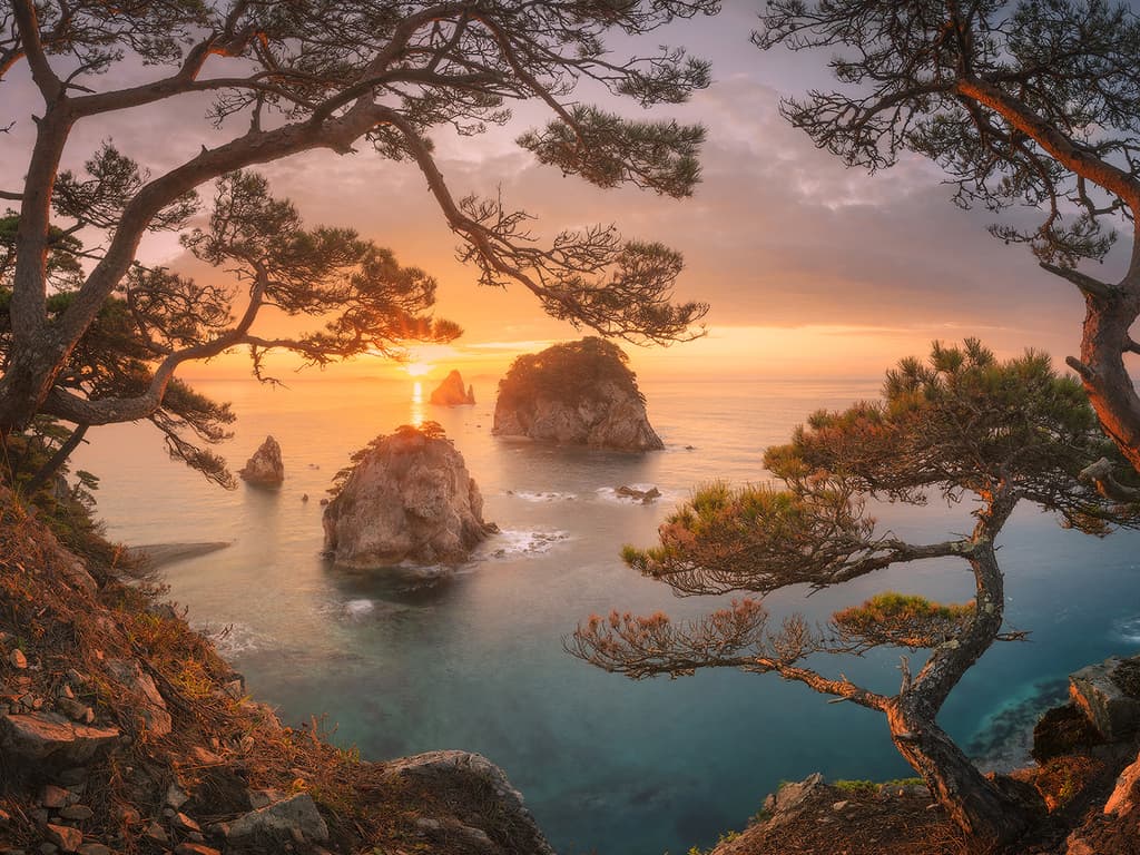 主流折叠屏手机