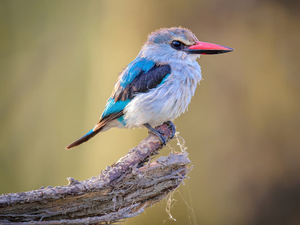 hexo后台管理插件：hexo-admin