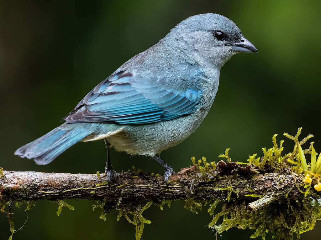 动手创建自己的个人站点