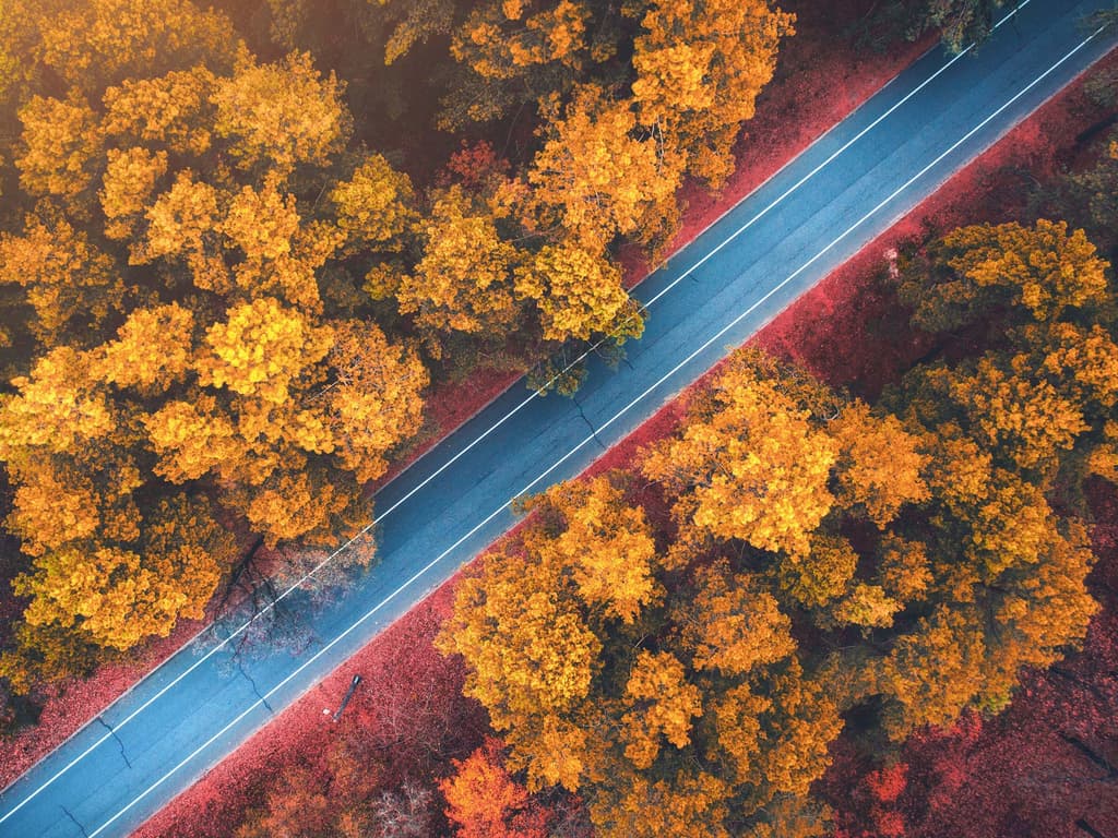 在线白板工具汇总