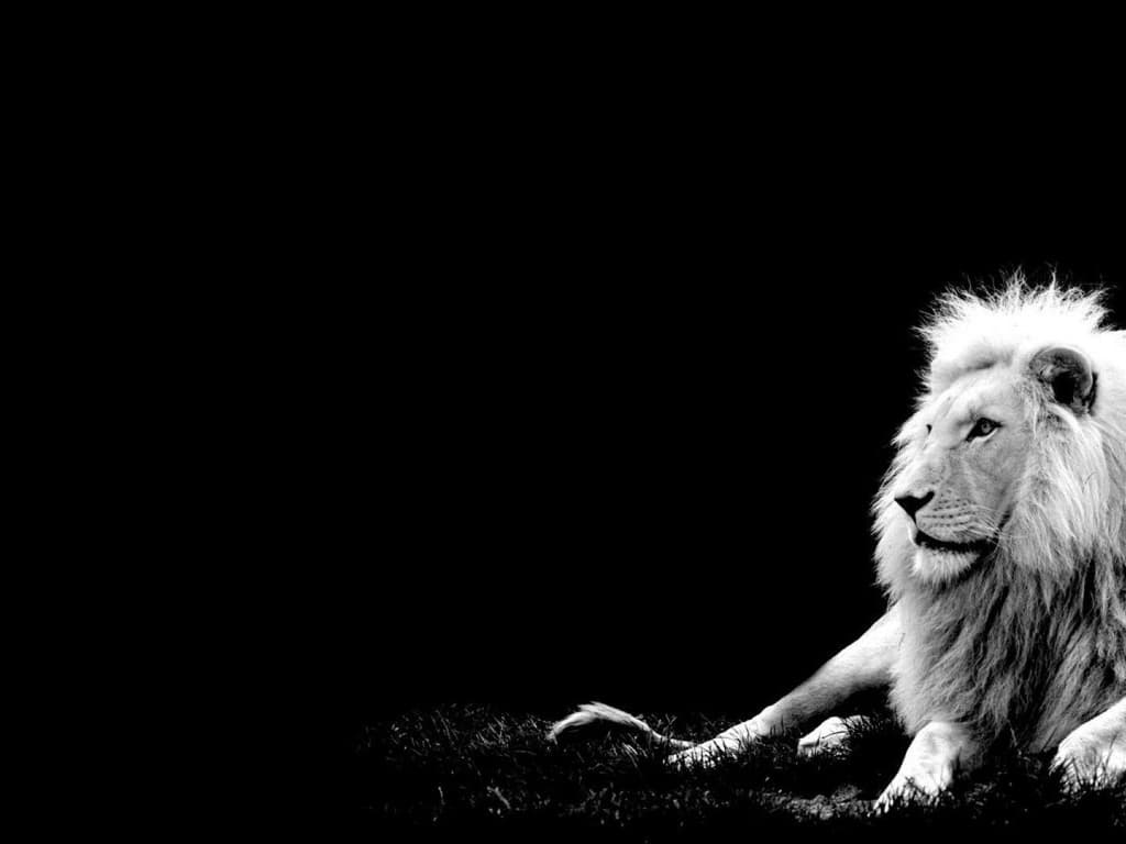 windows11家庭中文版开启Hyper-V