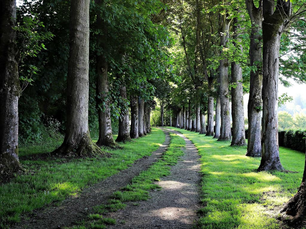 memos，类flomo开源笔记