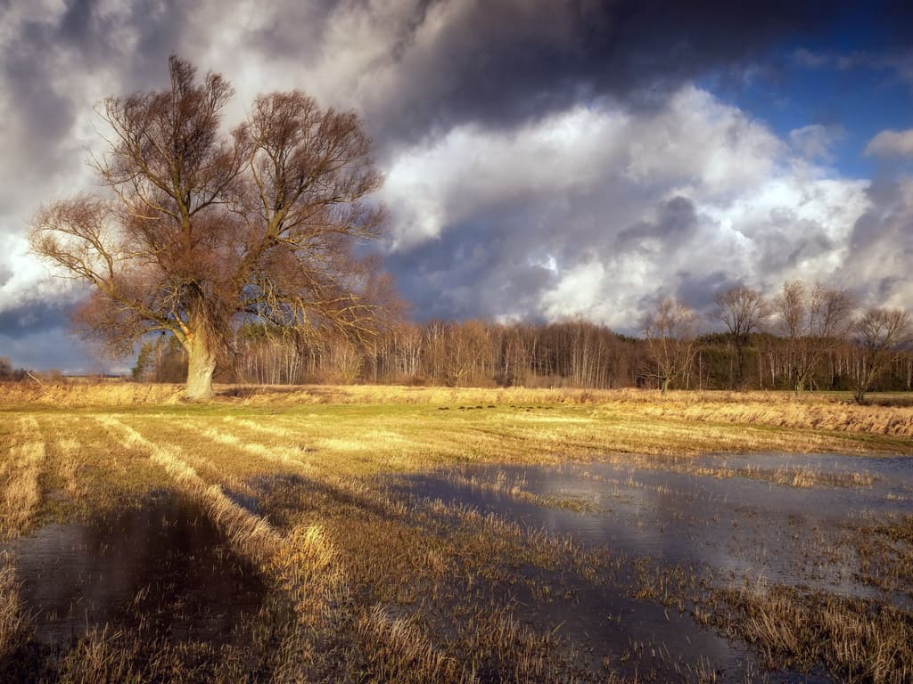 uTools-新一代效率工具平台